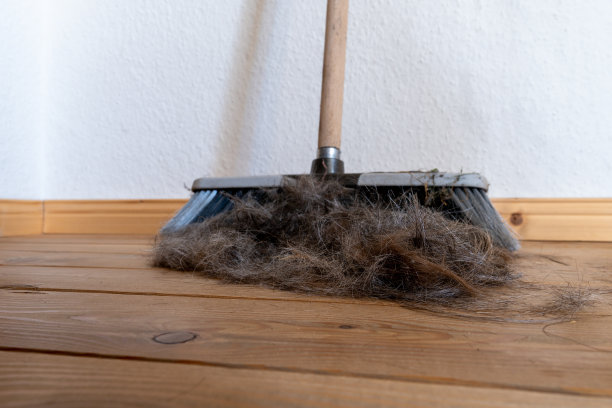 刷扫帚用簸箕清洁人的头发图片下载