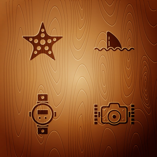 拍摄海星潜水观察和鲨鱼图片下载