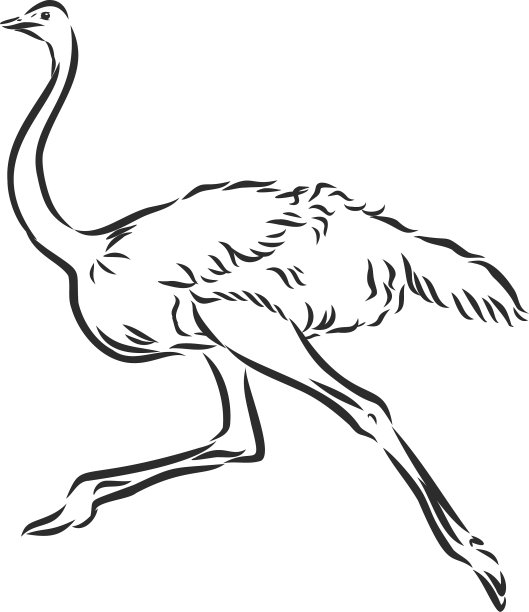 手绘写实鸵鸟素描图片下载