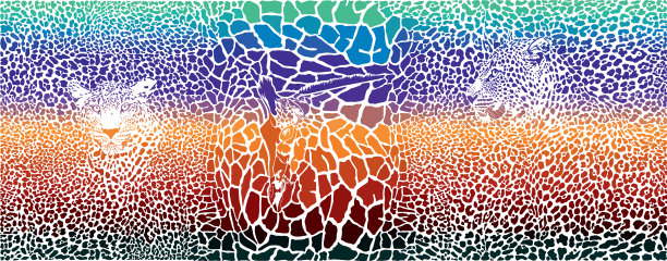 弗拉基米尔ceresnak图片下载