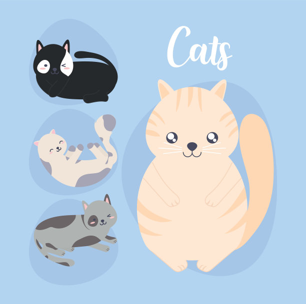 漂亮的猫卡图片下载