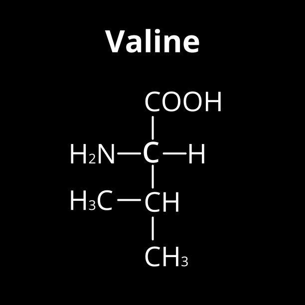 缬氨酸的化学分子式图片下载