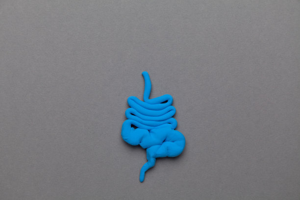 治疗和预防便秘、腹泻。肠道菌群和益生菌。卡通的概念图片下载