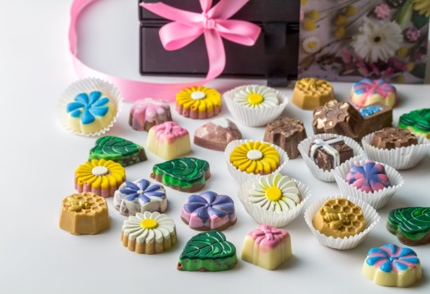 各种选择手工制作的豪华美食巧克力糖果美味的果仁，软糖和太妃糖中心孤立在白色背景与拷贝空间图片下载