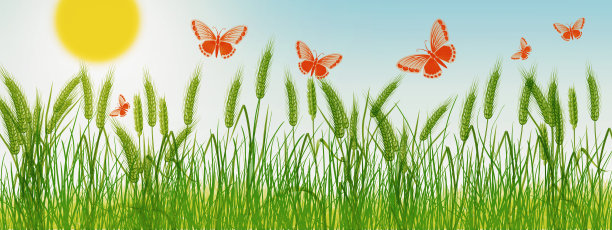 美丽的夏季股票插图。麦田上的蝴蝶。图片下载