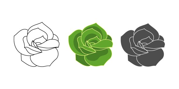 Set肉质月季可爱的玫瑰图片下载