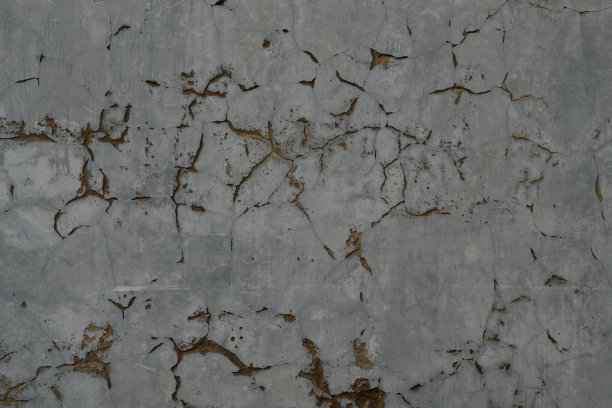 粗裂的近景图片下载