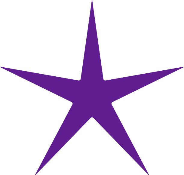 星星爆日爆图标符号放射状形状图片下载