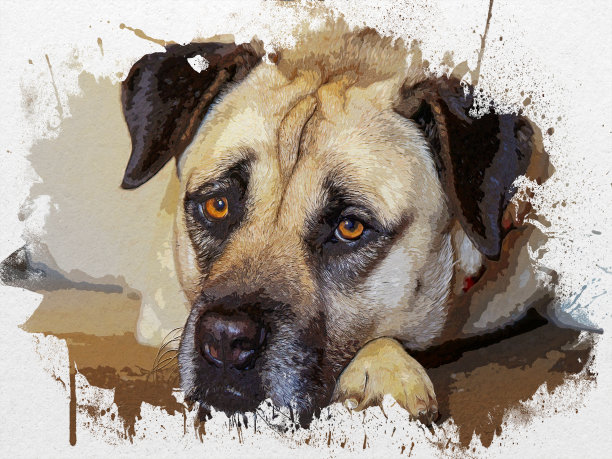 水彩画，创意艺术，白色边框。图片下载