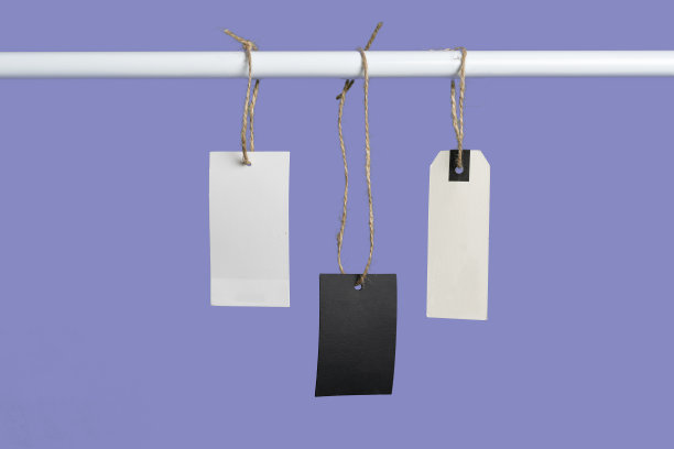 简单的空白空白孤立的价格标签吊在绳索上，实物模板为文字设计。图片下载