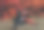 一对相爱的年轻情侣穿着大衣，戴着帽子，围着围巾，坐在红色的秋天灌木丛旁的草地上喝着咖啡。在大自然中休息和放松的概念。图片下载