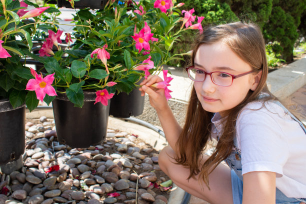 戴眼镜手持街头鲜花的女孩图片下载