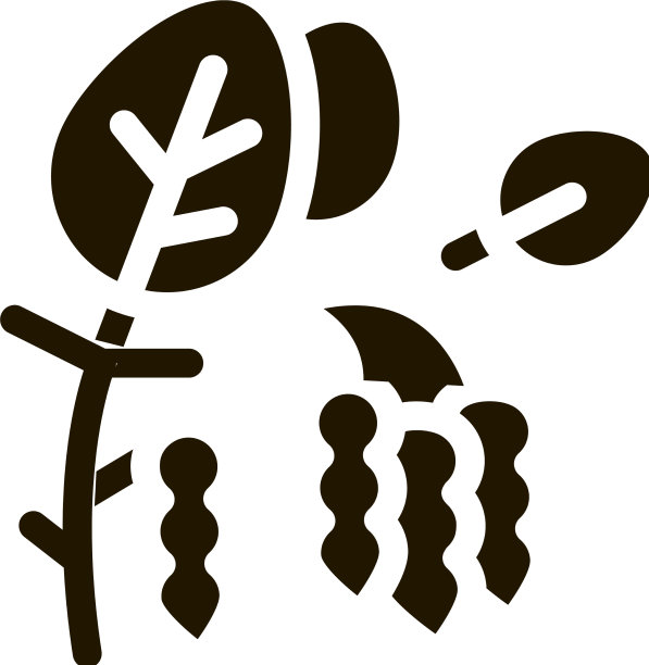 大豆植物图标字形豆图片下载