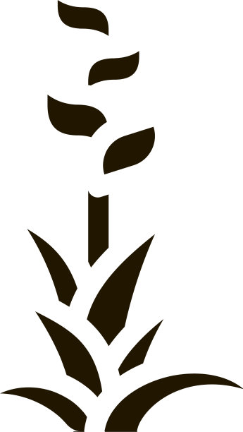 奇异花朵图标符号图片下载