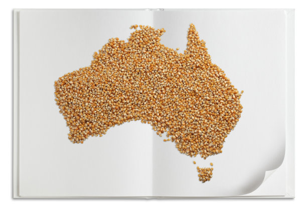 由玉米制成的地图图像图片下载