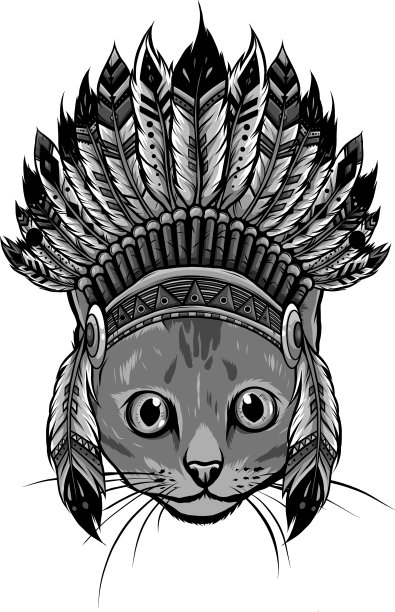 设计头猫与印第安帽图片下载