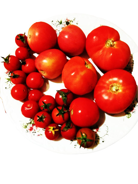 番茄和樱桃孤立在白色背景上图片下载