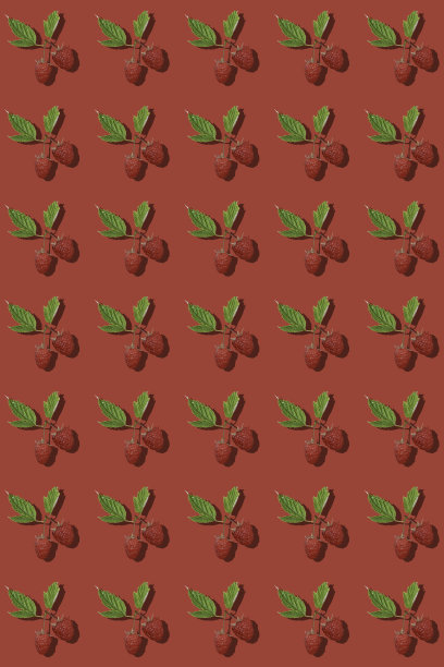 红色背景上的覆盆子图片下载