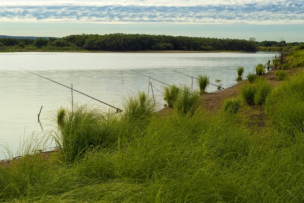 在通古斯河岸边钓鱼。图片下载