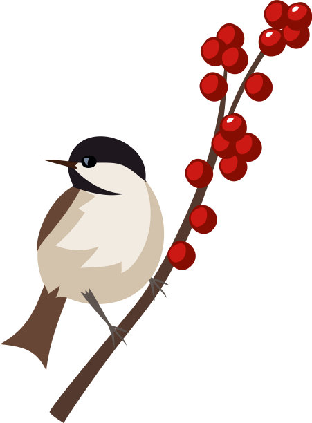 卡通小鸟坐在野生浆果植物上图片下载