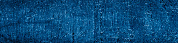 蓝色菩提树的树皮，有明显的纹理图片下载