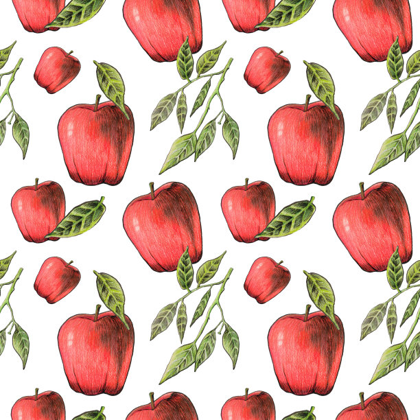苹果水果无缝图案与彩色铅笔。时尚的空白布料，印刷产品，室内设计，树叶和红色多汁的水果在白色的背景图片下载