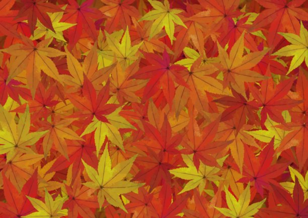 背景插图填充了枫叶图片下载