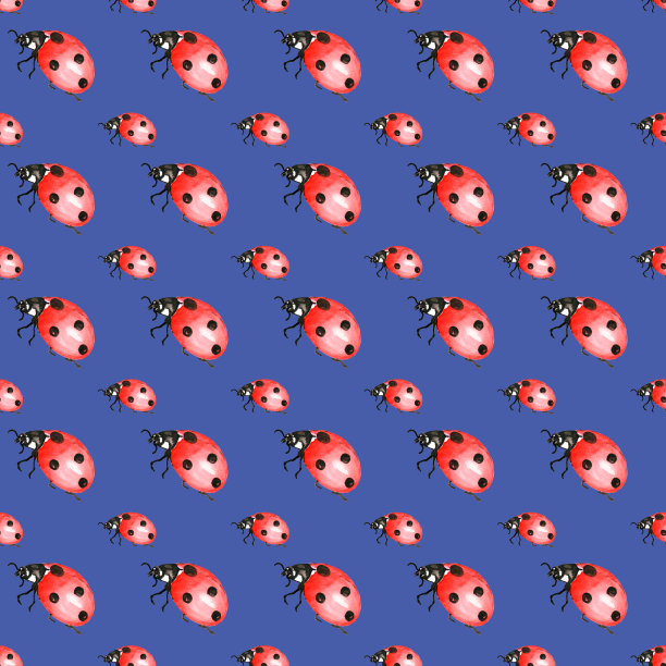 水彩图案昆虫，蠓，瓢虫。手绘插图。无缝纸张、图案和无缝背景。理想的印刷织物和纸张或剪贴簿。图片下载