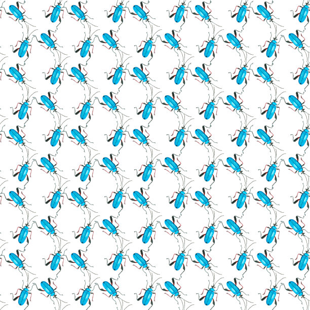 水彩图案昆虫，蠓，瓢虫。手绘插图。无缝纸张、图案和无缝背景。理想的印刷织物和纸张或剪贴簿。图片下载