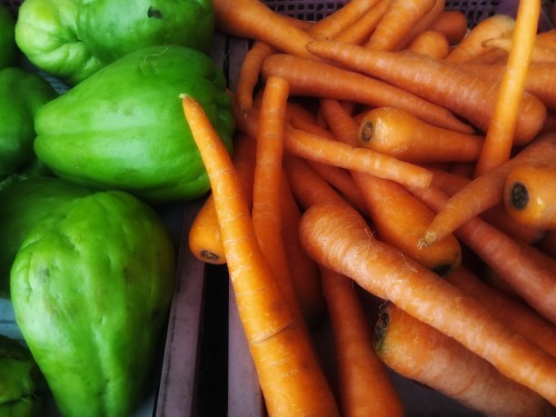 健康食品配料图片下载