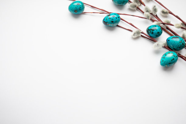 复活节的概念。白色的复活节背景与柳条和蓝色的蛋。极简主义图片下载