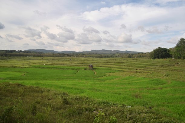 看山上田野的景色图片下载