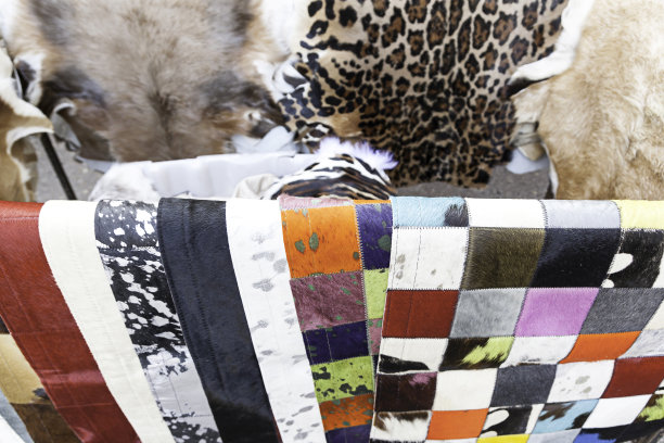 动物毛皮的颜色图片下载