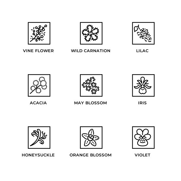 设置药草和植物线条图标设置图标图片下载