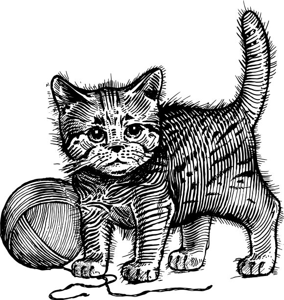 小猫有一团毛线图片下载