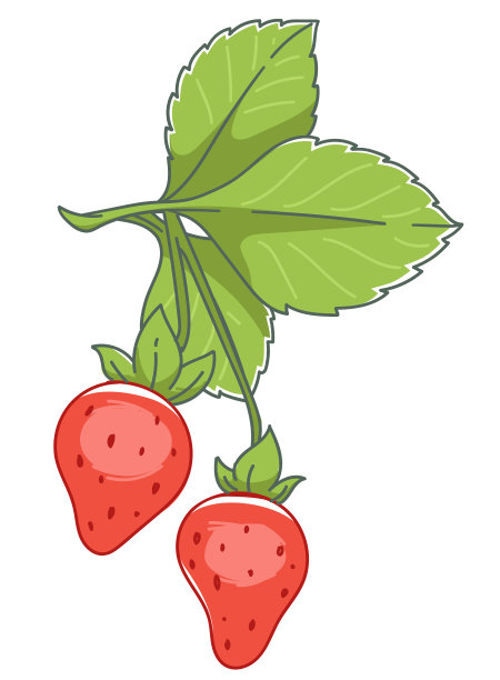 用成熟的浆果和叶子种植草莓图片下载