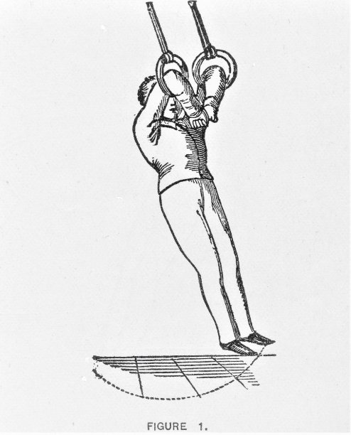 体操环，系列8个中的第1部分图片下载