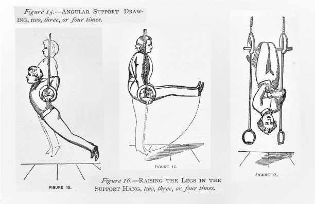 体操环，系列中的8个中的第7部分图片下载