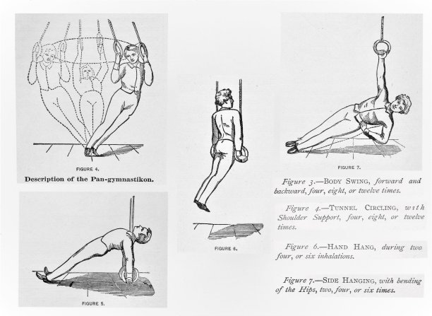 体操环，系列8个中的第3部分图片下载