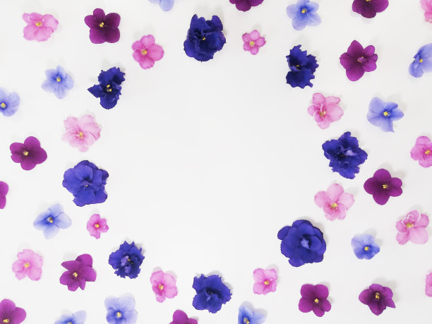 花框架从蓝色粉红色紫色紫罗兰图片下载