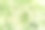 田野上的雏菊甘菊图片下载