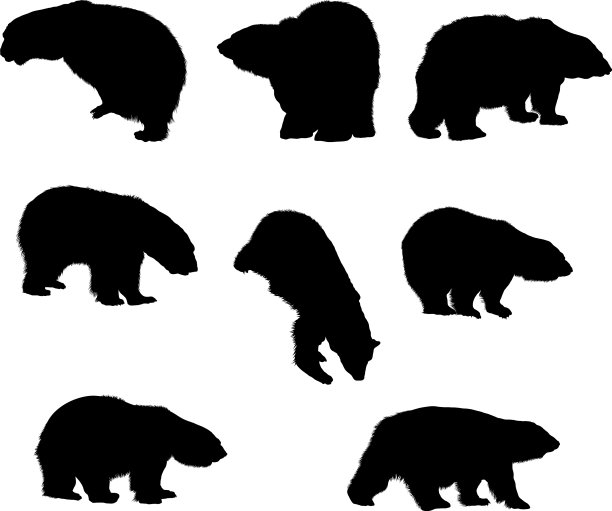 熊轮廓集图片下载