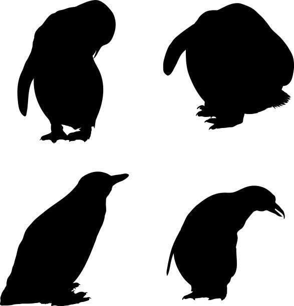 企鹅轮廓集图片下载