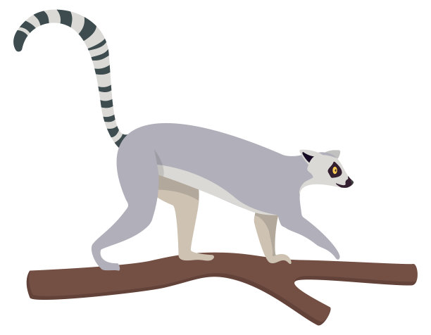 狐猴爬上树图片下载