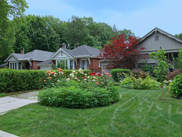 古老的郊区街道，有小平房图片下载