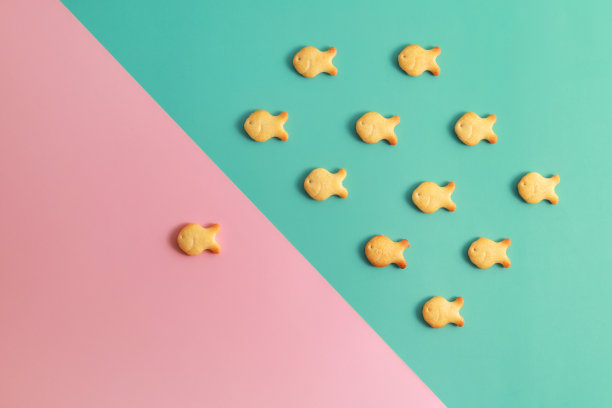 “领导鱼”概念形象，企业战略。图片下载