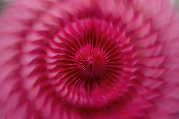 把装饰背景图片下载