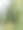室内植物图片下载