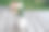 一束花园里的花放在乡村小屋的简陋桌子上图片下载