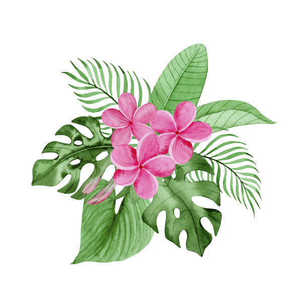 水彩花束的叶子，热带植物和粉红色的花，孤立在白色的背景。手绘。花卉风格的图案、框架和婚礼请柬的设计元素。图片下载